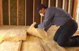 Best Crawl Space Insulation  in Plum Grove, TX