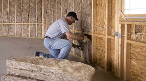 Best Batt and Roll Insulation  in Plum Grove, TX