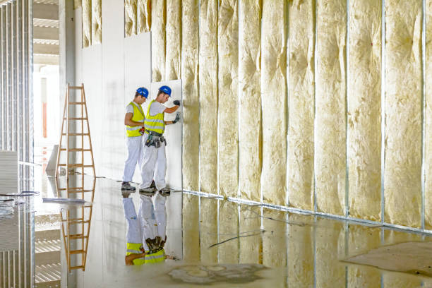 Best Soundproof Insulation  in Plum Grove, TX